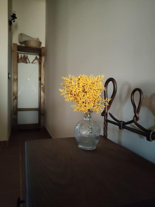 La Casa De La Abuela Amalia Apartment Arenas de San Pedro Luaran gambar